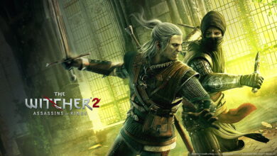 the witcher 2