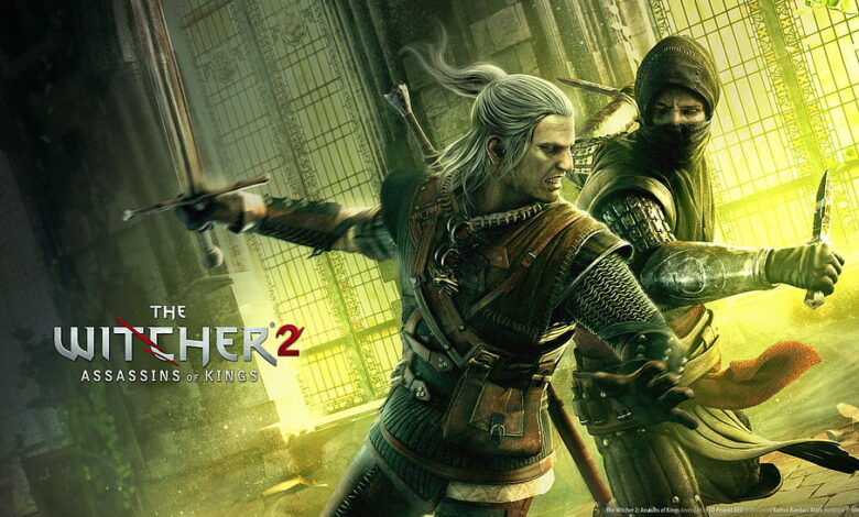 the witcher 2