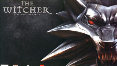 the witcher 2007 pc