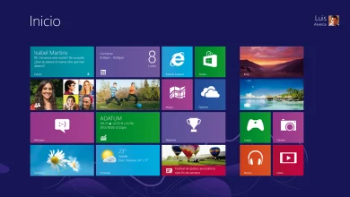 windows 8